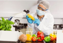 Food Science Activity